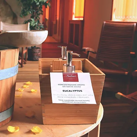 Hotel Baltaci U Náhonu Zlín